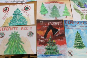 Работы- участники акции "В защиту хвойных деревьев - 2019"