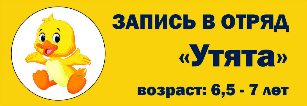 утки