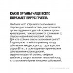 Вирус ГРИППА