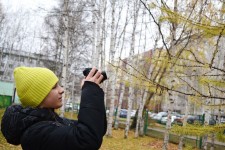 Эко исследование 1