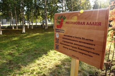 Аллея к Юбилею 2