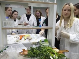 Эко эксперимент 5