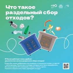 Что такое раздельный сбор отходов
